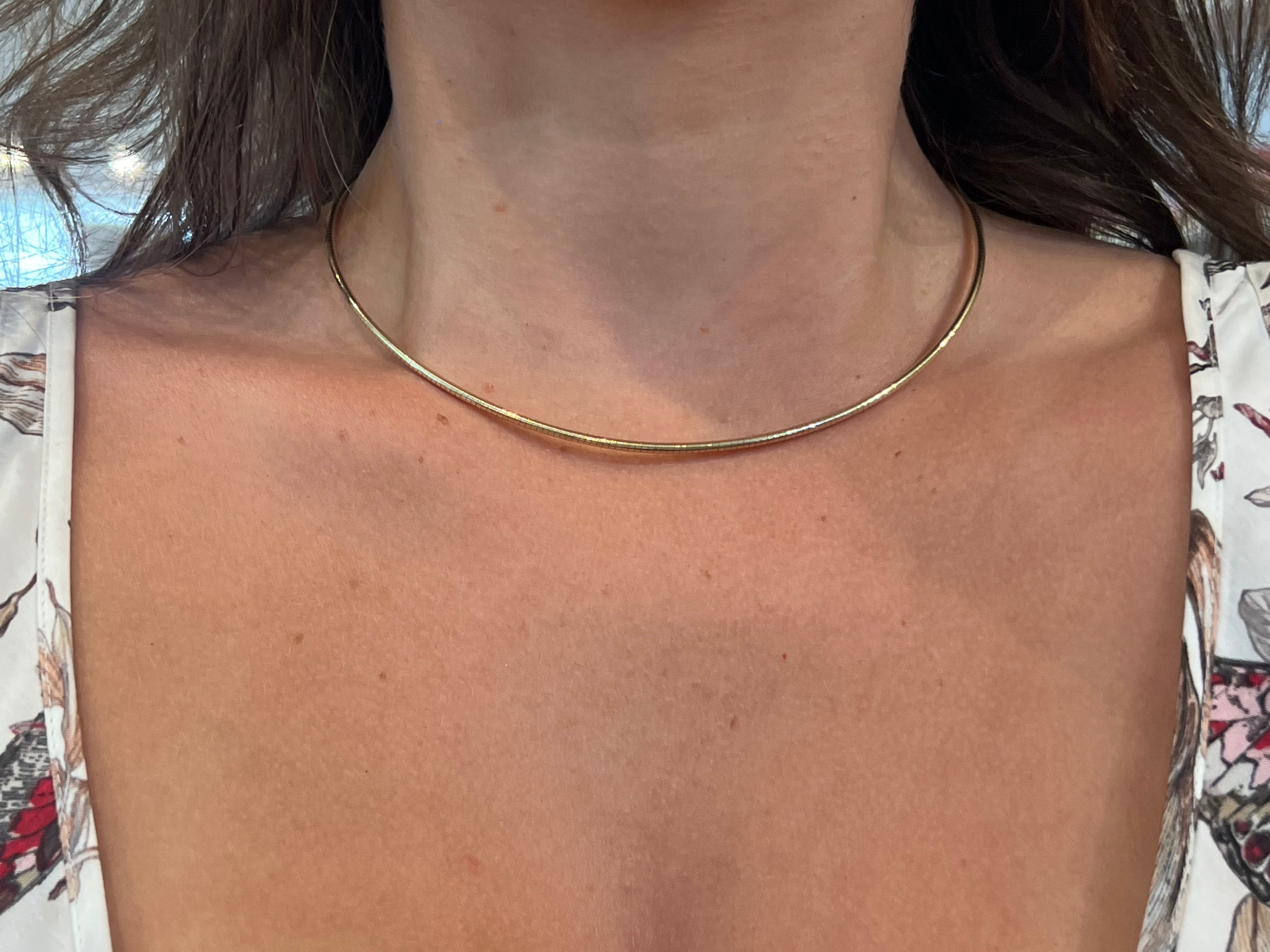 WD1964 14kt Gold Omega Necklace