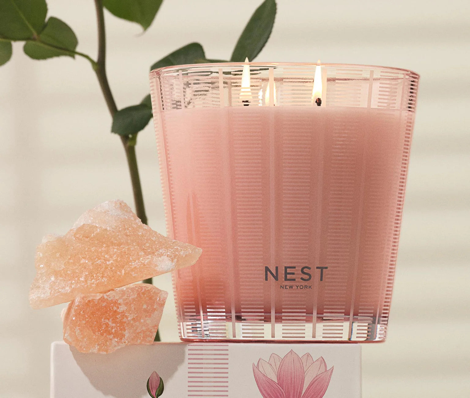 NEST175HSR008 NEST 3 Wick Candle