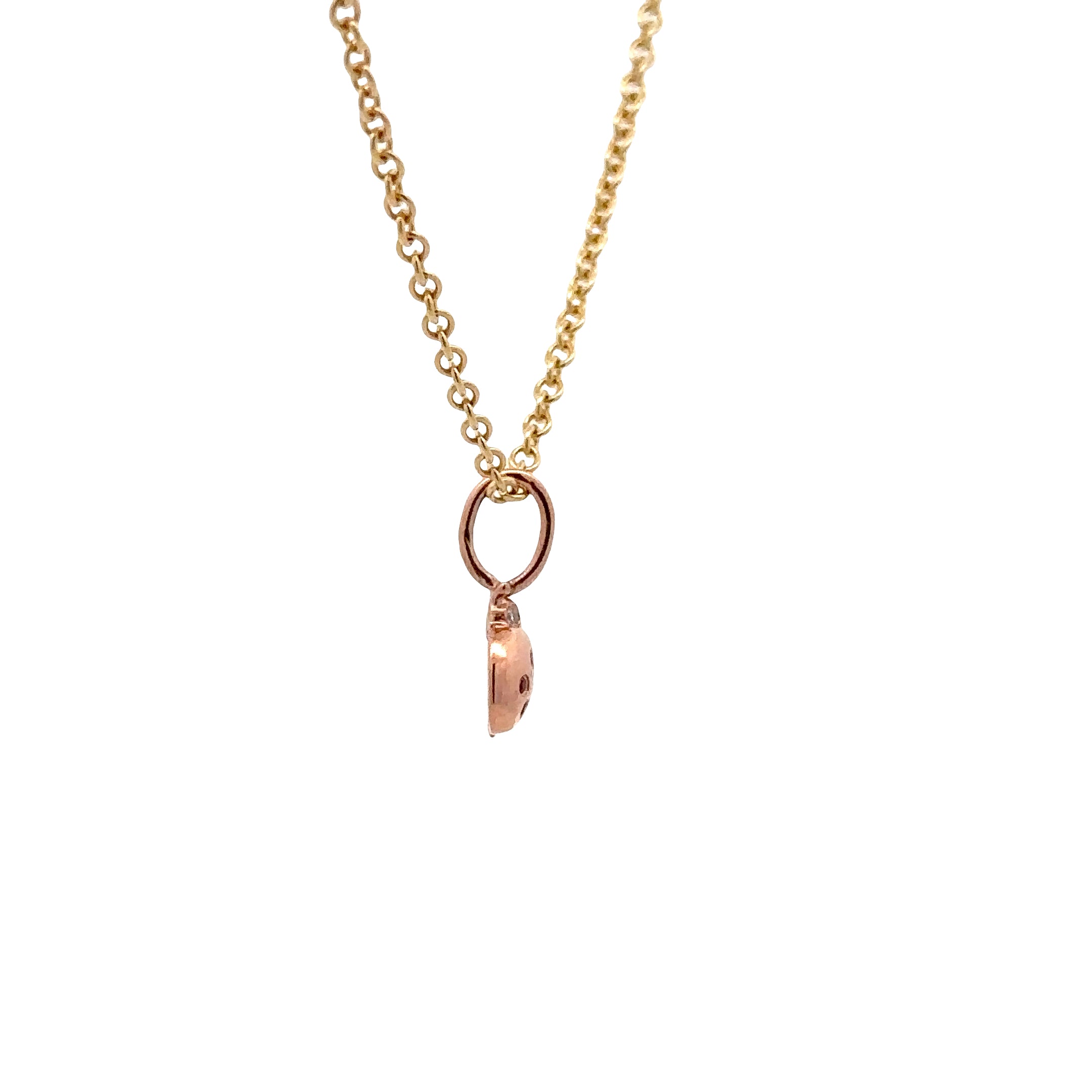 WD1920 14kt Gold Lady Bug Pendant with Ruby and Diamond Detail