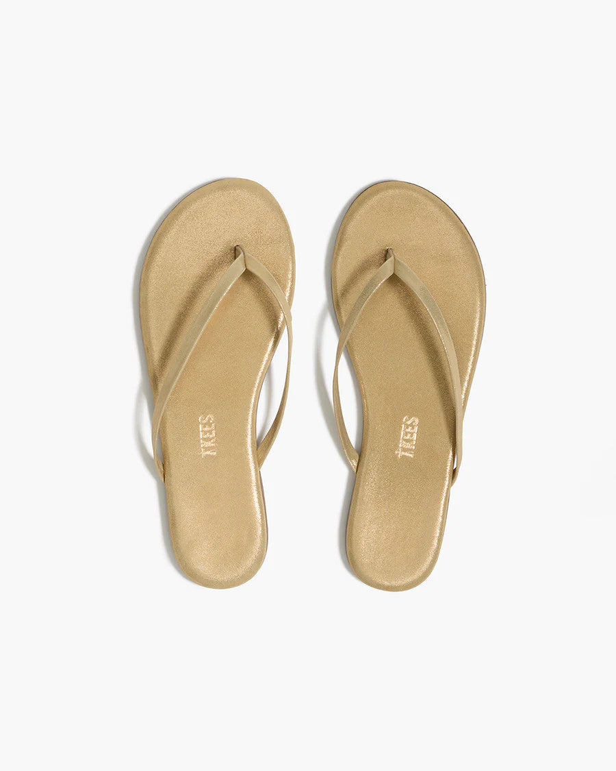 GL-04sb TKEES Lily Glitters