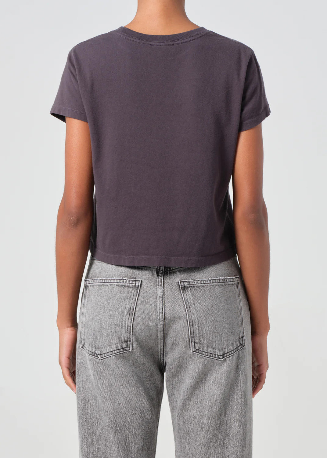 A7180-1507s Agolde Adine Shrunken Tee